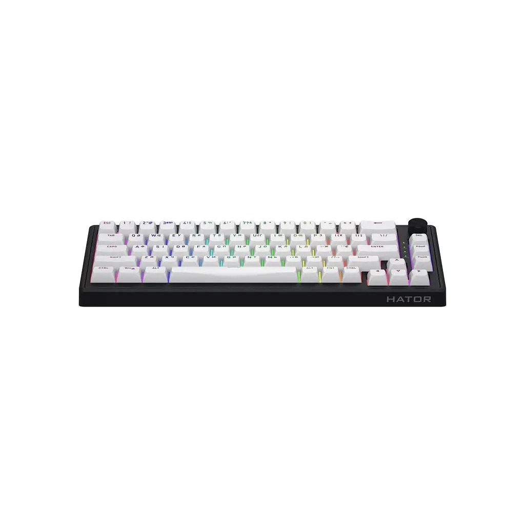 Клавіатура Hator Skyfall 65 MAG ULTRA 8K Aurum Ice RGB USB UA Black/White (HTK1860UA) - фото 2