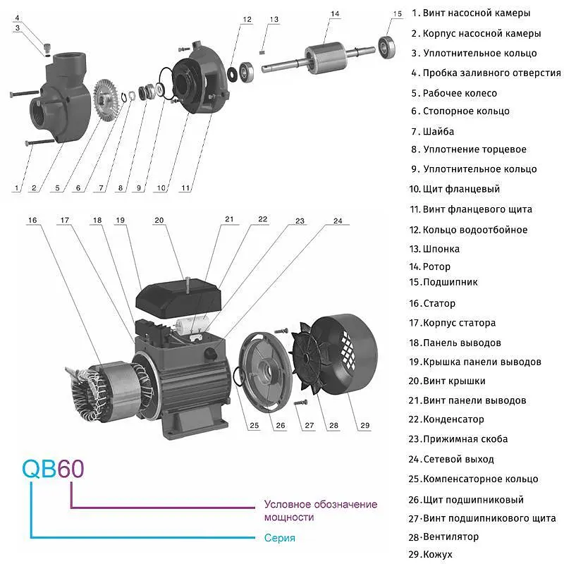 Насос Zegor QB60 поверхневий 0,37 кВт H40 м Q2,1м³/г вихровий 30412 - фото 2