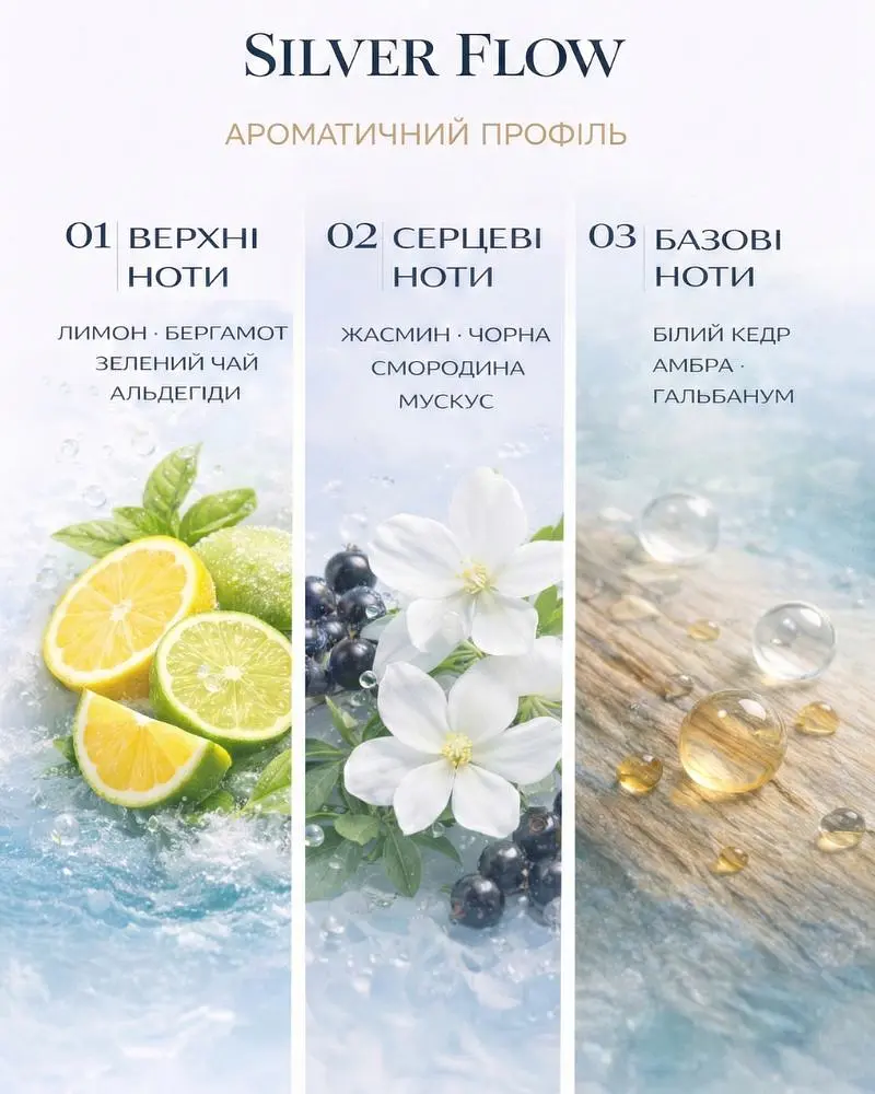 Парфум унісекс Franterro Silver Flow 50 мл (FRN-1008) - фото 2