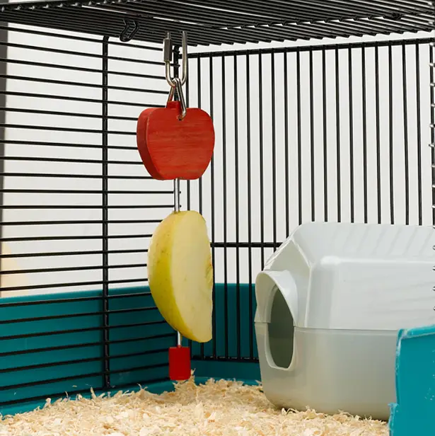 Кліпса для підживлення птахів Ferplast PA 4328 FRUIT HOLDER 4.5х1х20 см 84328899 - фото 2