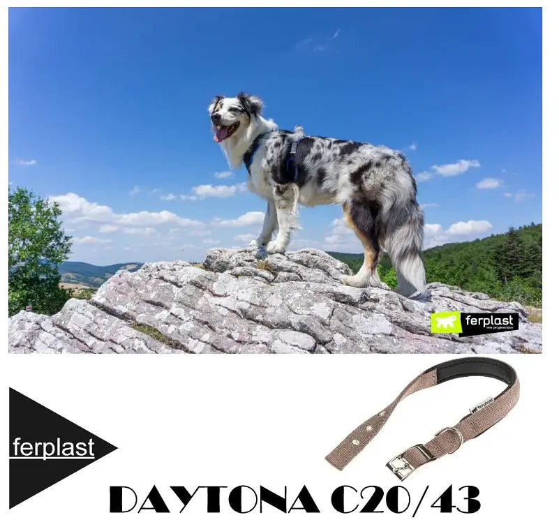 Нашийник для собак Ferplast Daytona C20/43 коричневий нейлоновий 2х35-43 см 75246912 - фото 4