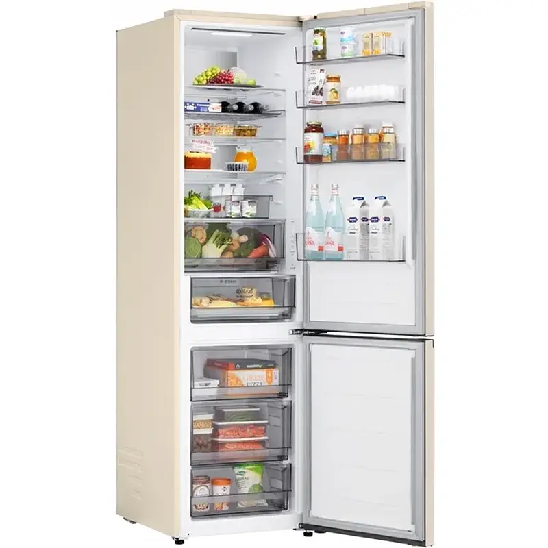 Холодильник LG GC-B509 EESM - фото 7