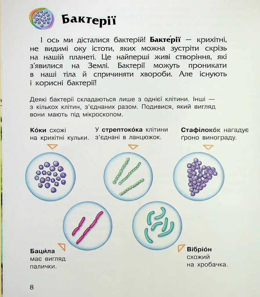 Енциклопедія дошкільника. Мікроби - фото 11
