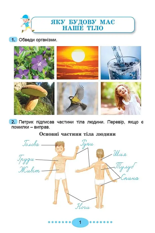 Я досліджую світ 3 клас. Зошит-практикум у 2-х частинах. Частина 2 - фото 3