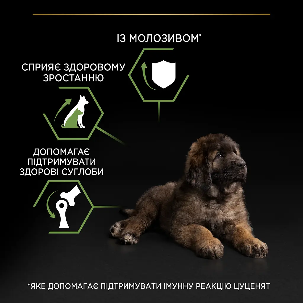 Сухий корм для цуценят великих порід Purina Pro Plan Large Robust Puppy, з куркою, 12 кг (12375805) - фото 7