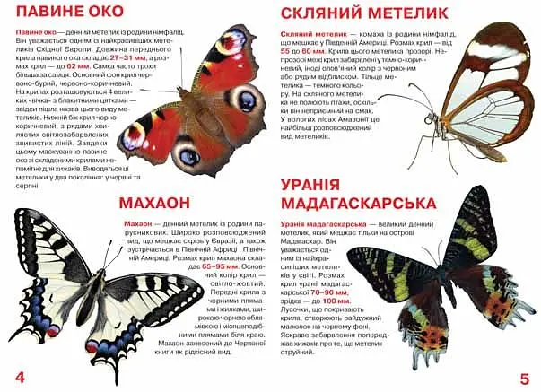 Велика книга Кристал Бук Метелики (F00019393) - фото 2