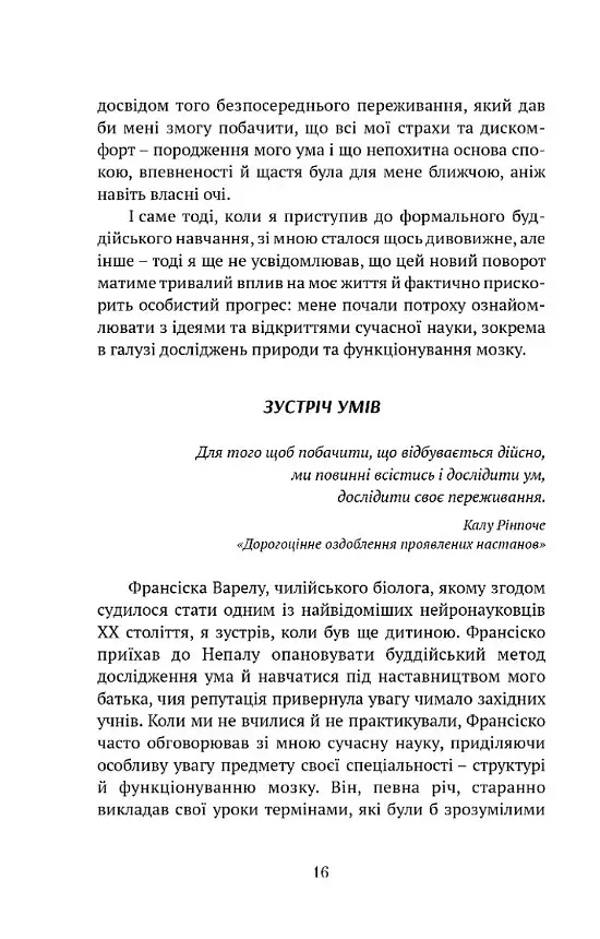 Жити в радість: секрет щастя з погляду буддизму та науки - фото 6