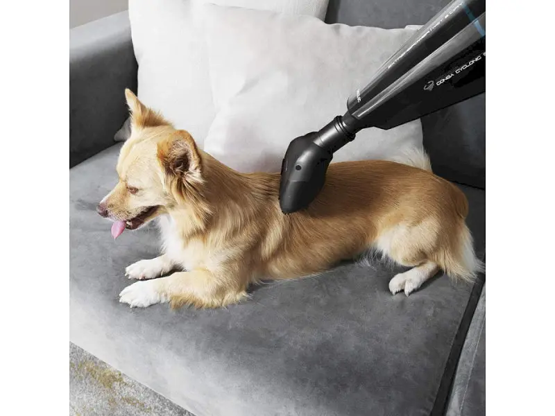 Ручний пилосос Cecotec Conga Immortal ExtremeSuction 22.2 Animal Hand (05441) - фото 3