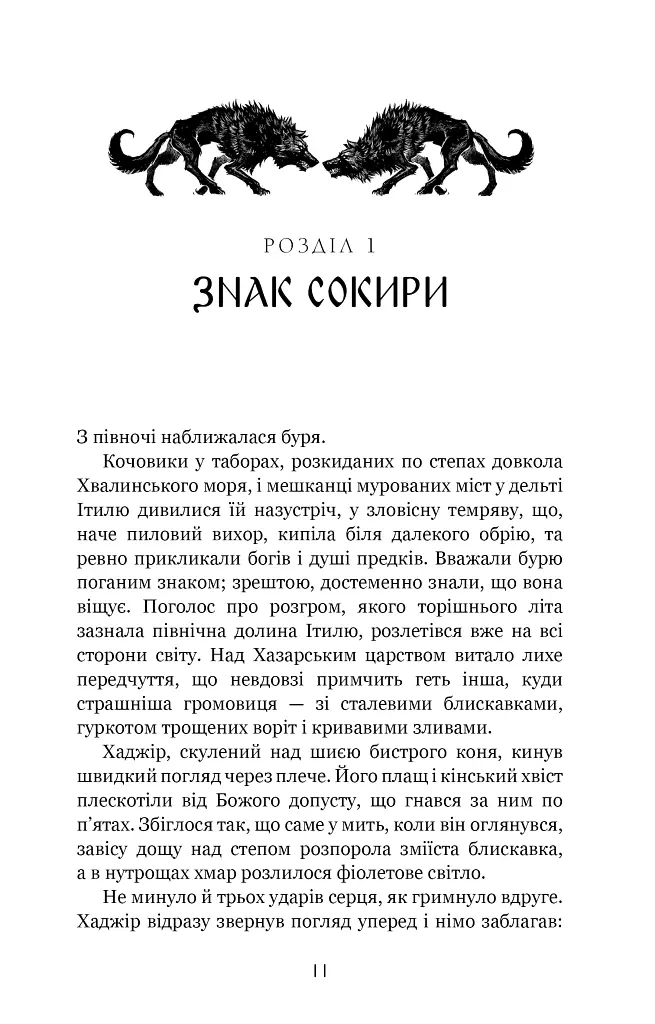 Богатир. Царство у полум’ї. Книга 3 - Юрай Червенак - фото 5
