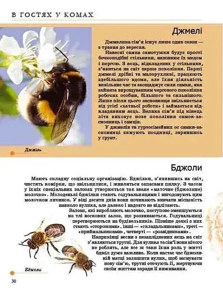 Комахи та інші - Тетяна Жабська - фото 7