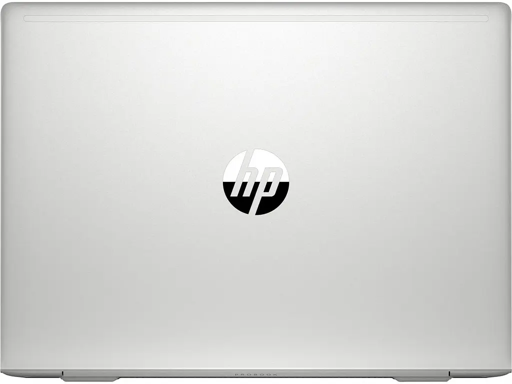 Ноутбук HP ProBook 455 G7 (175W5EA) Pike Silver (175W5EA) - фото 5