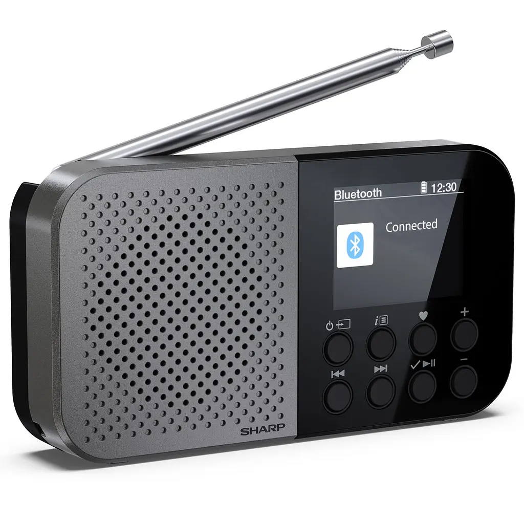 Радіоприймач Sharp DR-P520 Storm Grey - фото 7