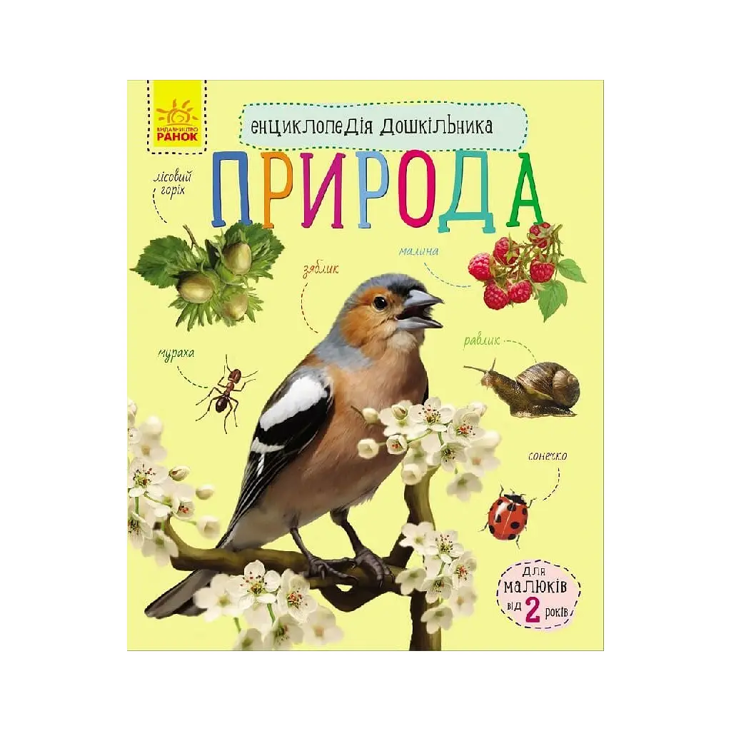 Книга Природа. Енциклопедія дошкільника - Юлія Каспарова Ранок (9786170928313) - фото 2
