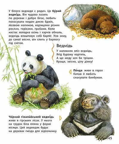 Енциклопедія дошкільника - Юлія Каспарова - фото 4