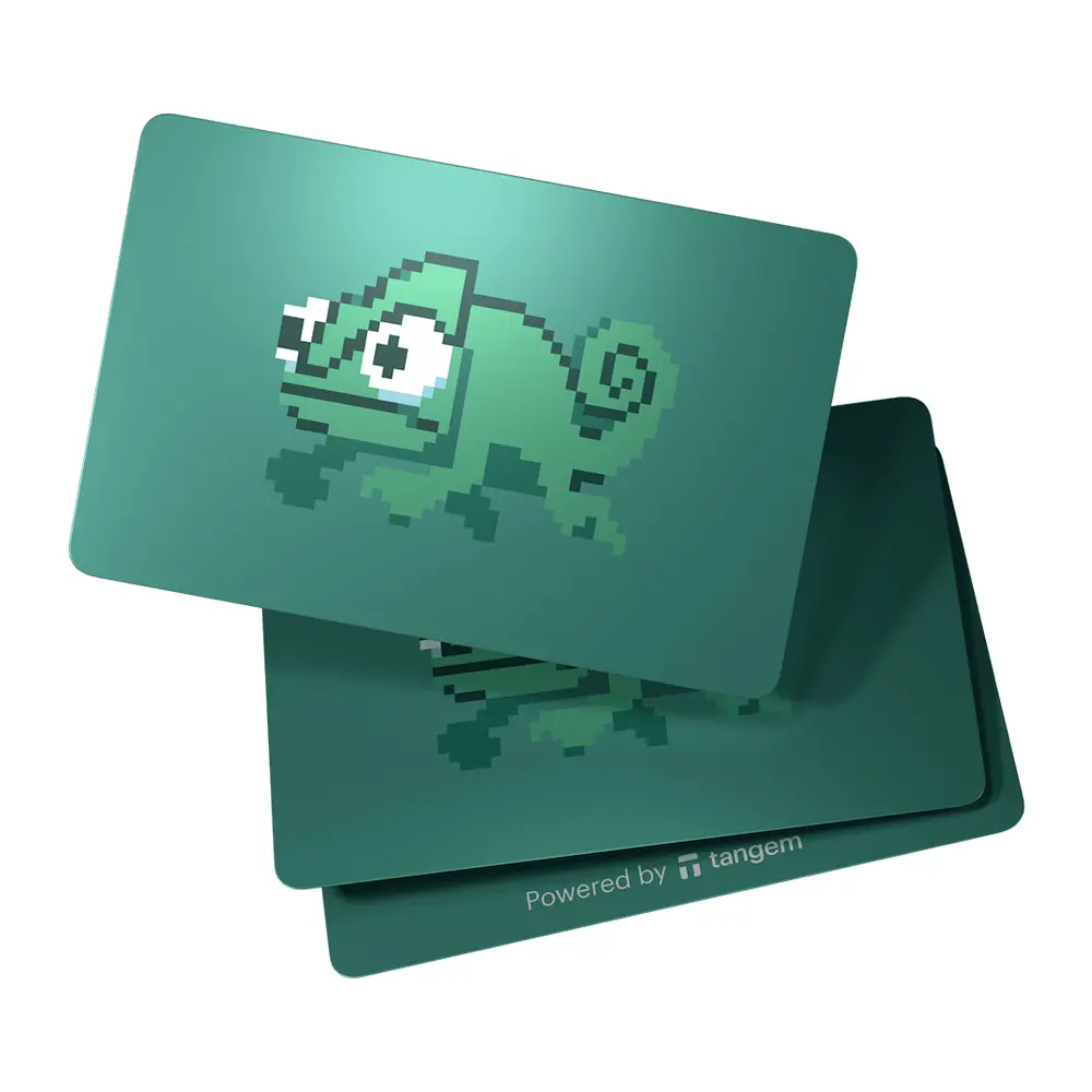 Крипто-кошелек Tangem Wallet 2.0 Kango набор из 3 карт (TG-KANGO) - фото 2