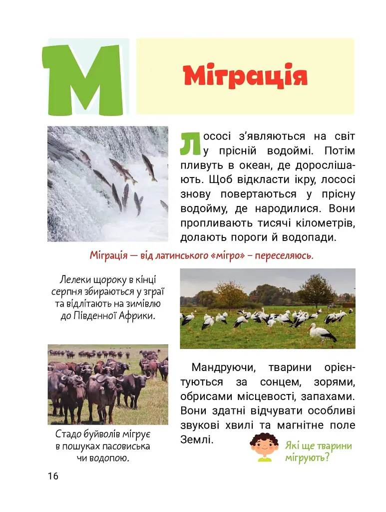 Класна абетка. Тварини - фото 4