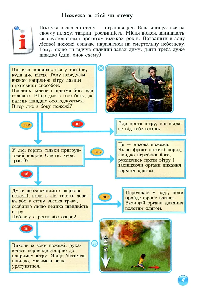 Основи здоров'я. Зошит-практикум. 8 клас - фото 10
