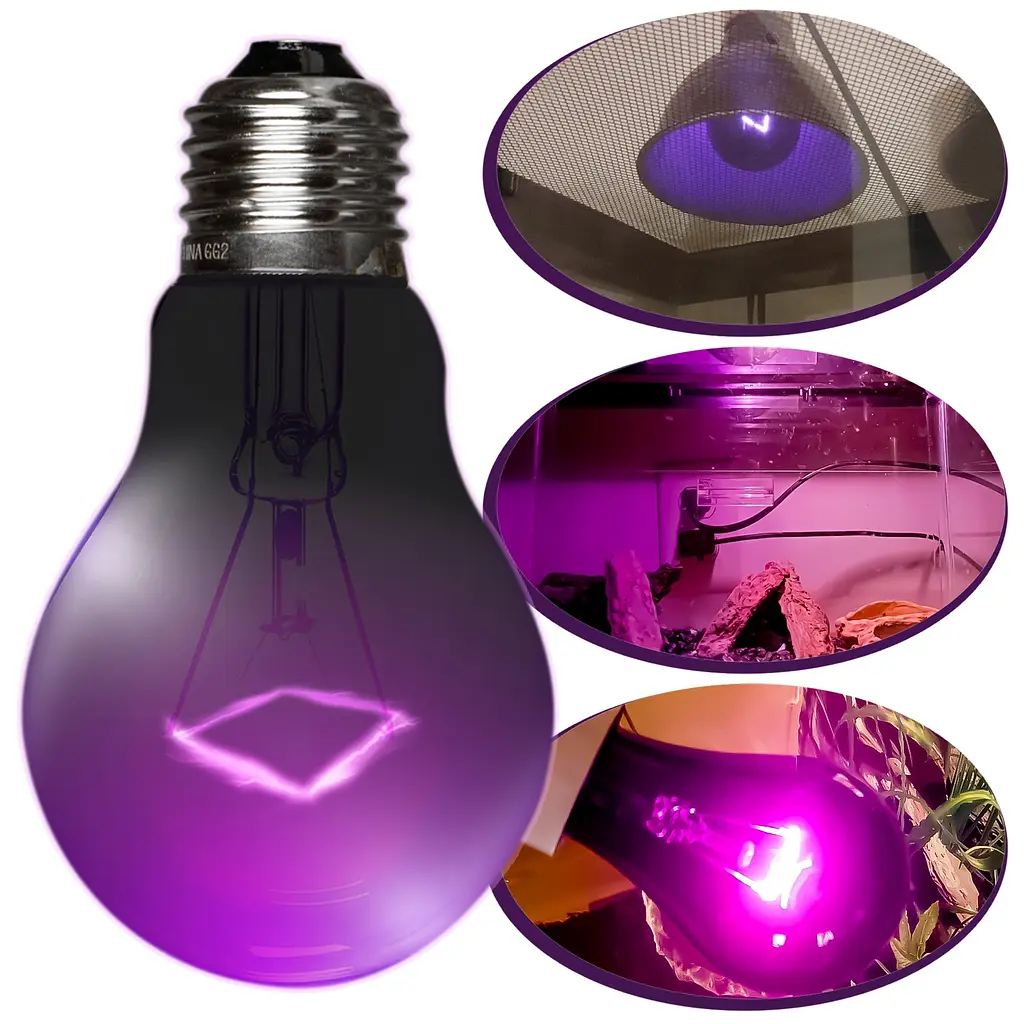 Нічна лампа з підігрівом Repti-Zoo Night Heat Bulb 75W для тераріумів без UVA (MHL75) - фото 3
