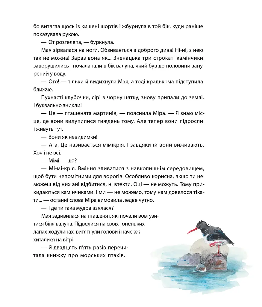 Літо на острові, або Історія однієї дружби - Катерина Міхаліцина - фото 8