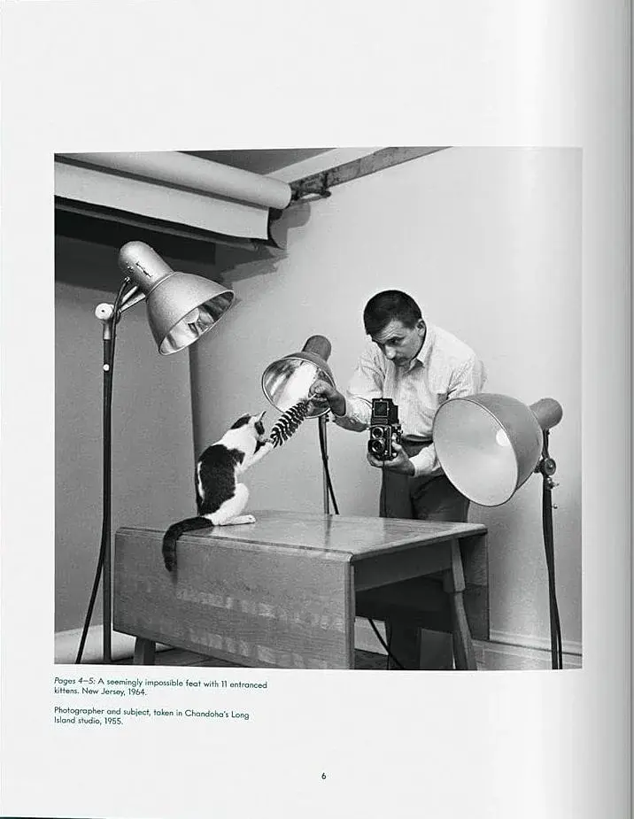 Walter Chandoha. Cats. Photographs 1942-2018 - фото 2