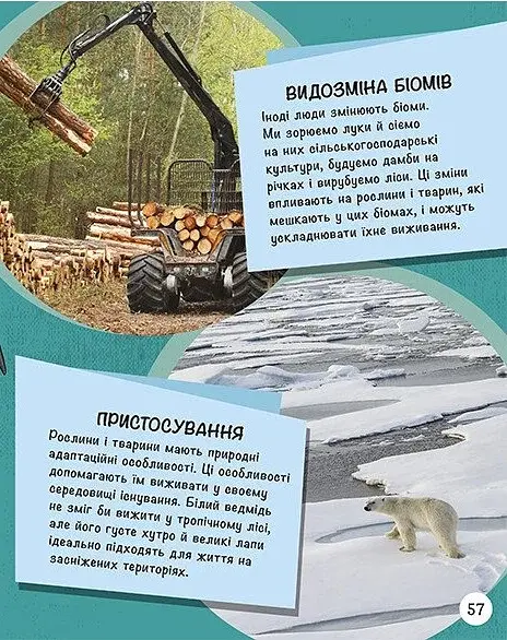 Енциклопедія юних розумників - фото 12