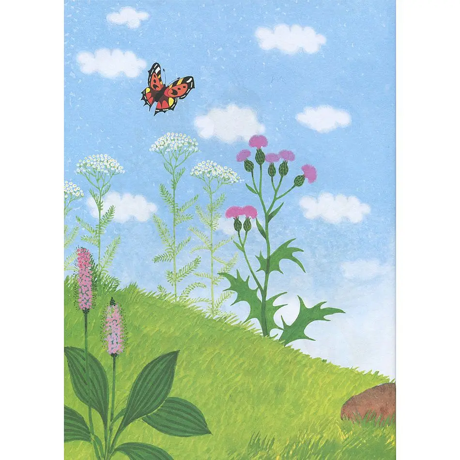 Велика книга Кротик - З. Мілер, Г. Доскочілова, Е. Петішка (120789) - фото 8