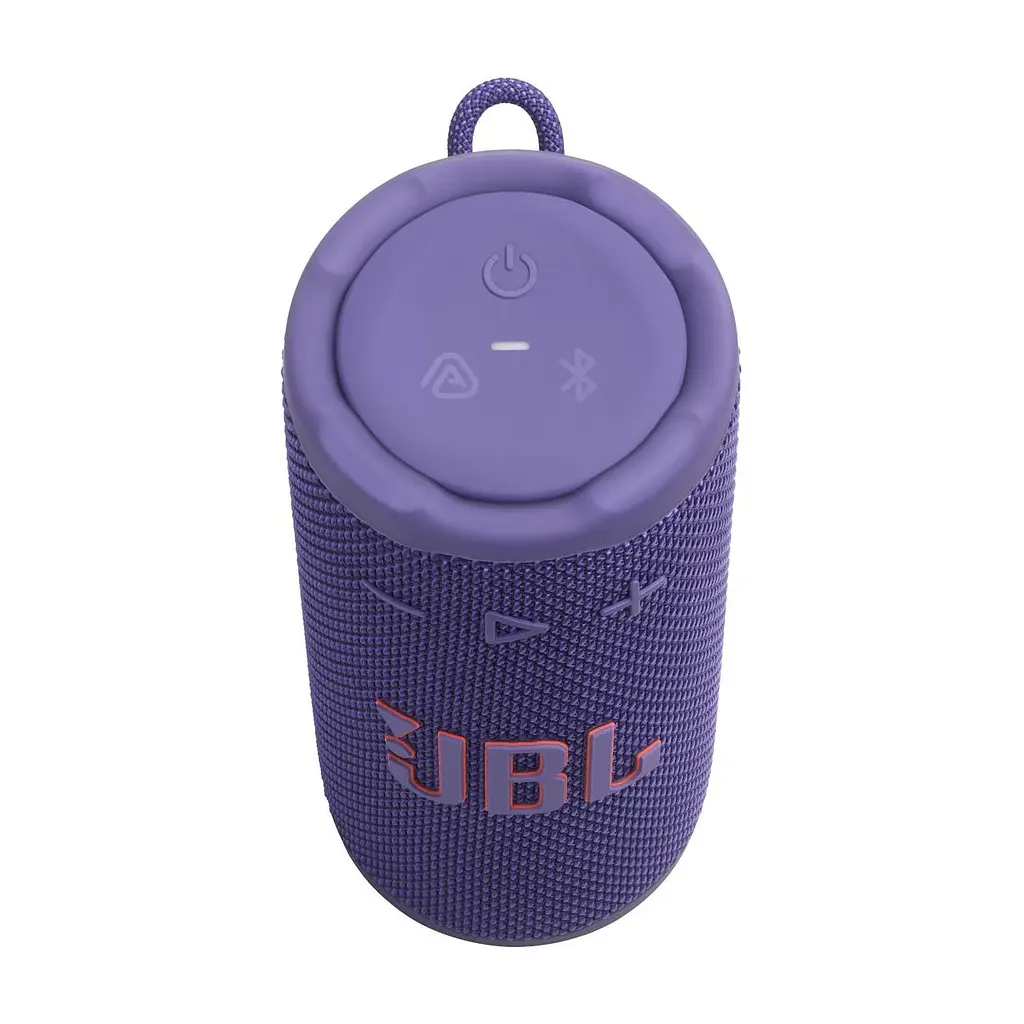 Акустическая система портативная из БТ JBL JBLGRIPPUR - фото 3