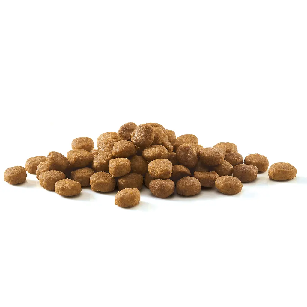 Сухий корм Purina One Indoor Bifensis з високим вмістом індички для дорослих котів, які живуть у приміщенні 1.4 кг - фото 4