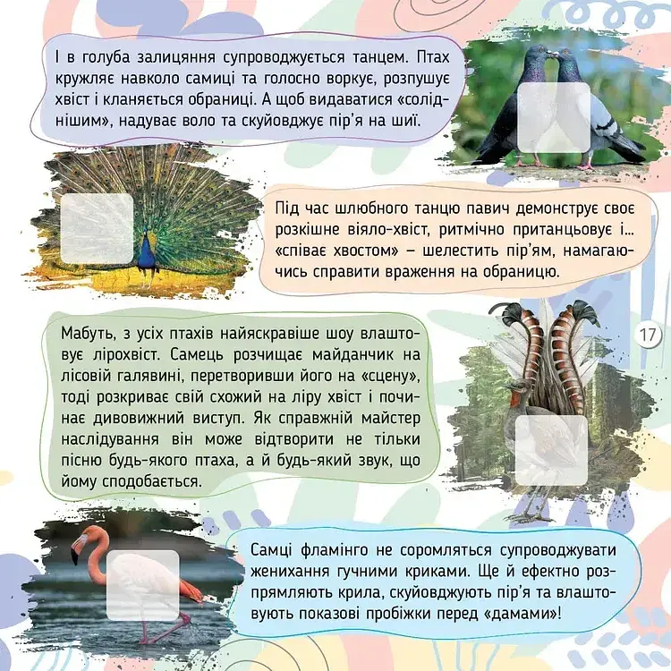 100 цікавинок. Комахи - Катерина Шаповалова - фото 7