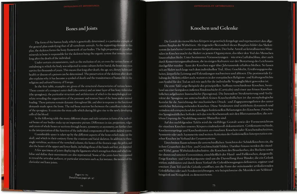 Anatomical Waxes. 45th Edition - фото 8