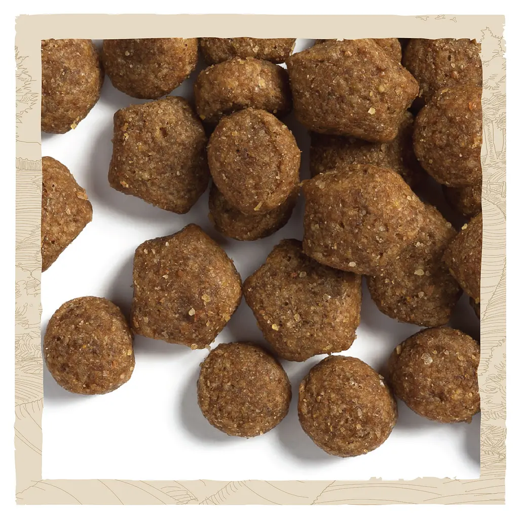 Сухий корм для цуценят Dog Chow Puppy <1, з ягням, 14 кг - фото 6