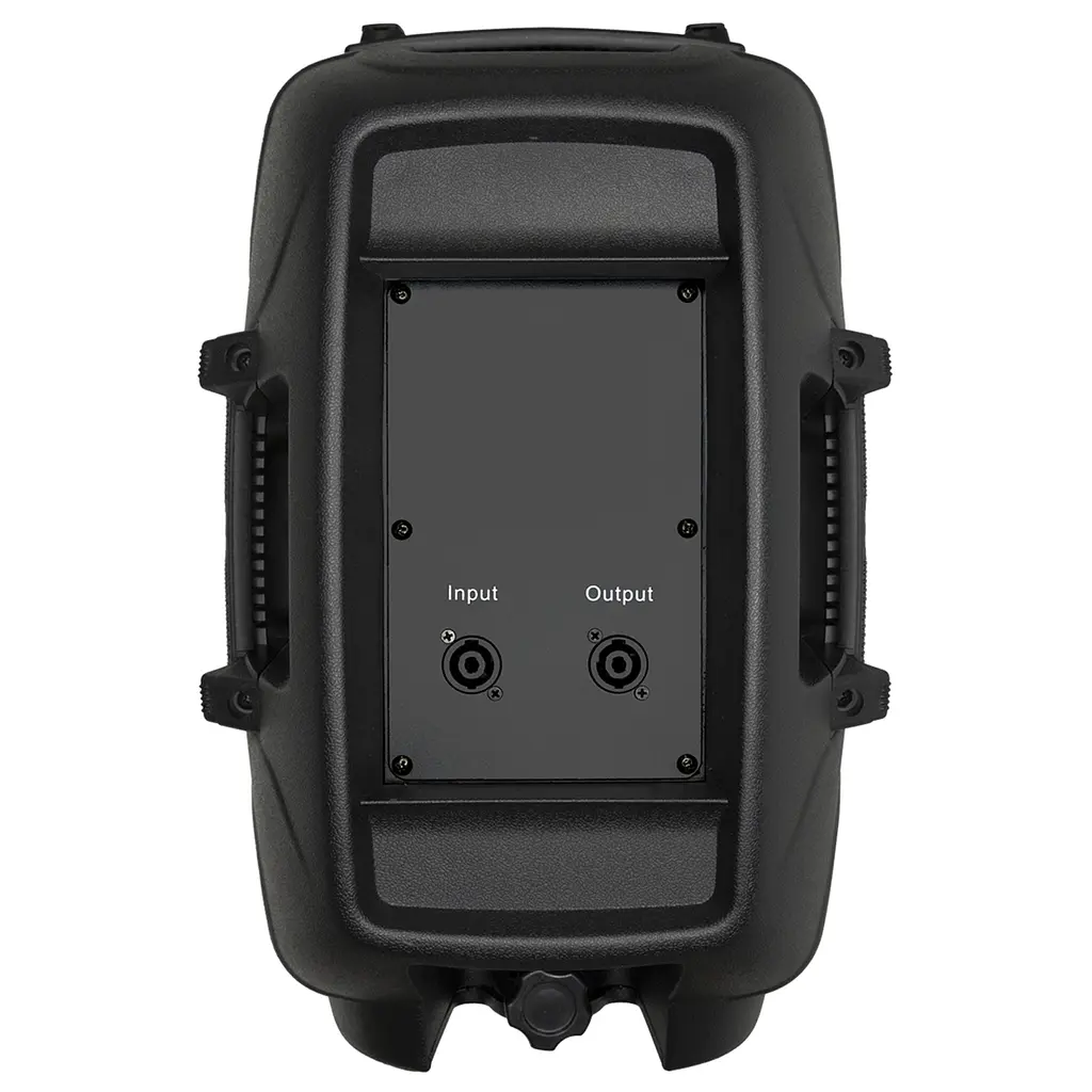 Комплект акустики активная + пассивная BIG JB15SET550W MP3/FM/Bluetooth - фото 4