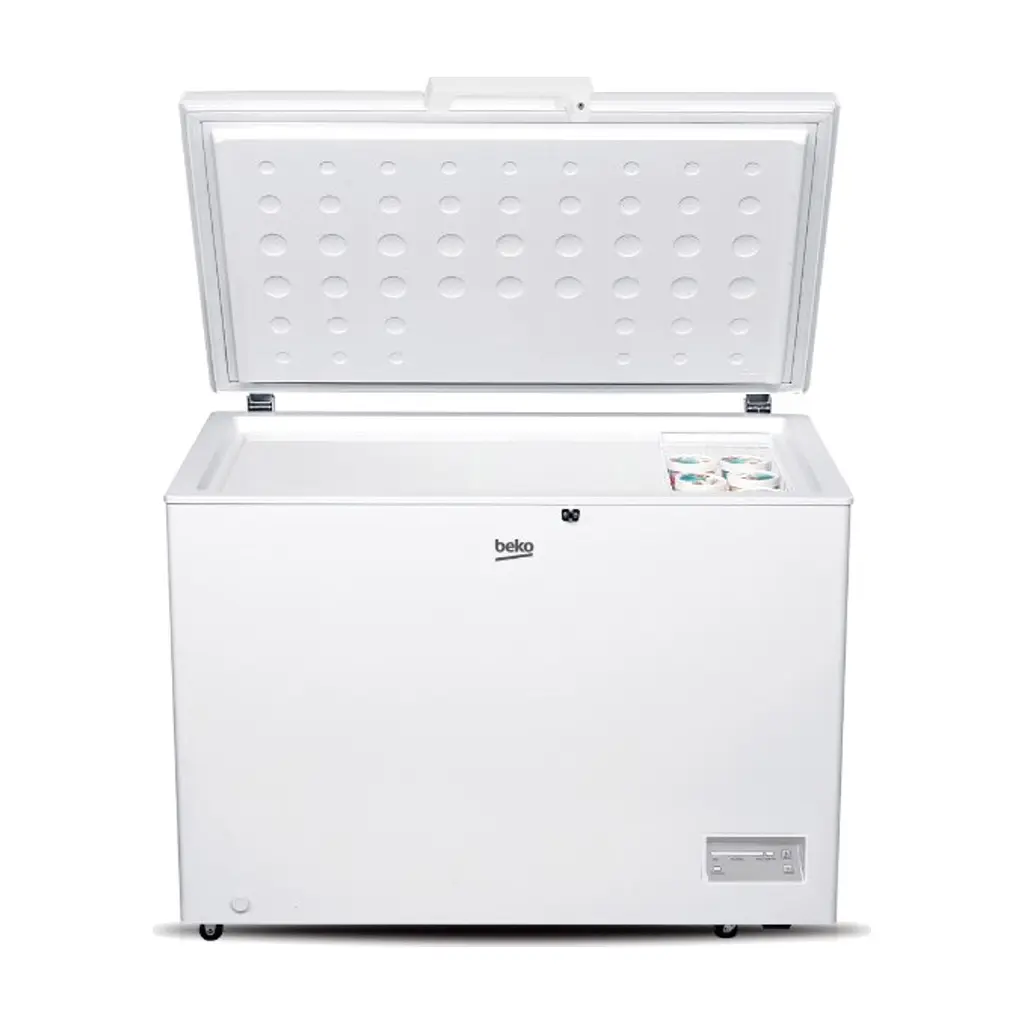 Морозильный ларь Beko CF316WN - фото 3