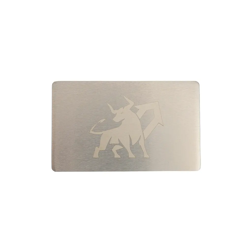 Металева пластина для зберігання сід-фрази Bull Run Mini Plate 55×90 мм + гравірувальна ручка (1 шт) - фото 2
