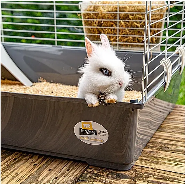 Клітка для кроликів та морських свинок Ferplast Rabbit 100 темно-сіра 95х57х46 см 57052370 - фото 10