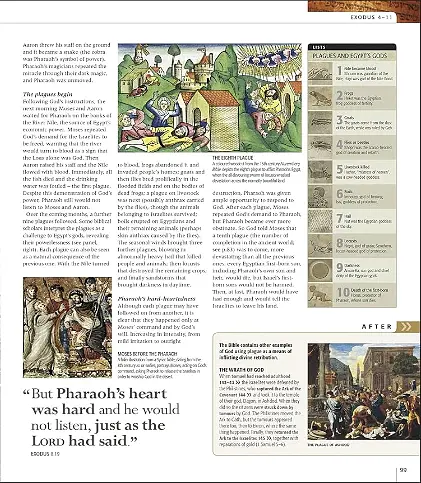 Bible Stories. The Illustrated Guide - - фото 4
