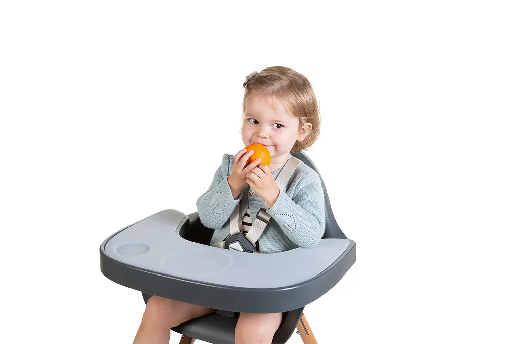 Столик до стільця для годування Childhome Evolu з силіконовим підносом антрацит (CHEVOTSAA) - фото 3