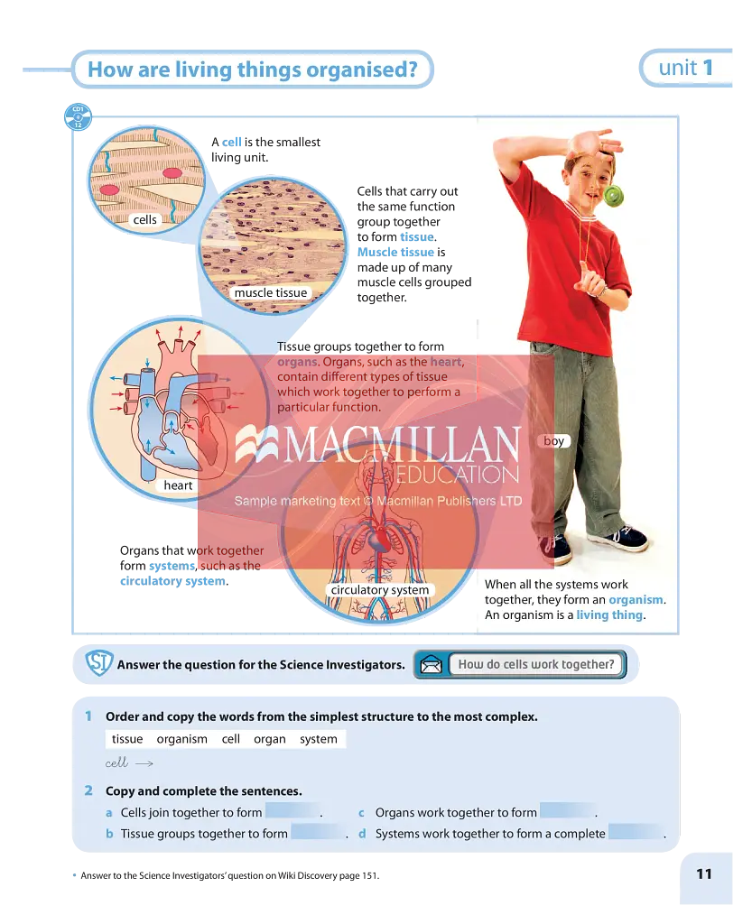 Macmillan Natural and Social Science. Level 5. Pupil's Book - фото 8