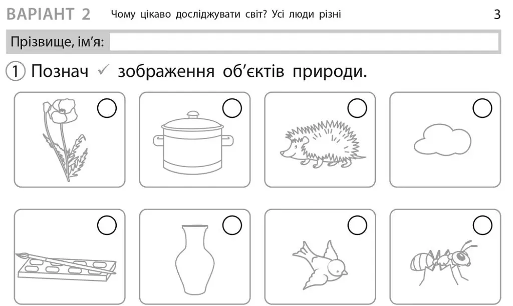 Експрес-перевірка. Я досліджую світ. 1 клас. Відривні картки до підручника І. Грущинської - Ольга Муренець - фото 4