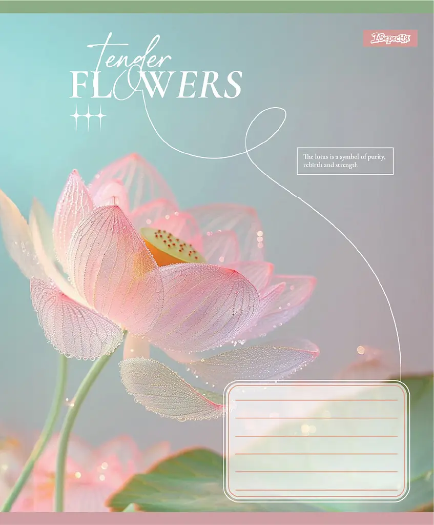 Упаковка зашитів 1В Tender Flowers учнівський загальний 10 шт./60 лін. (768083) - фото 2