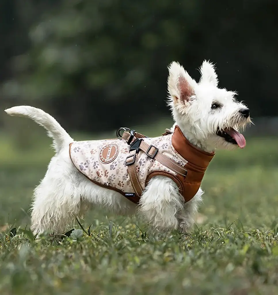 Зимова куртка для собак V.PET.B.R. Luxury Dog Jacket C519 Brown Paw - фото 7