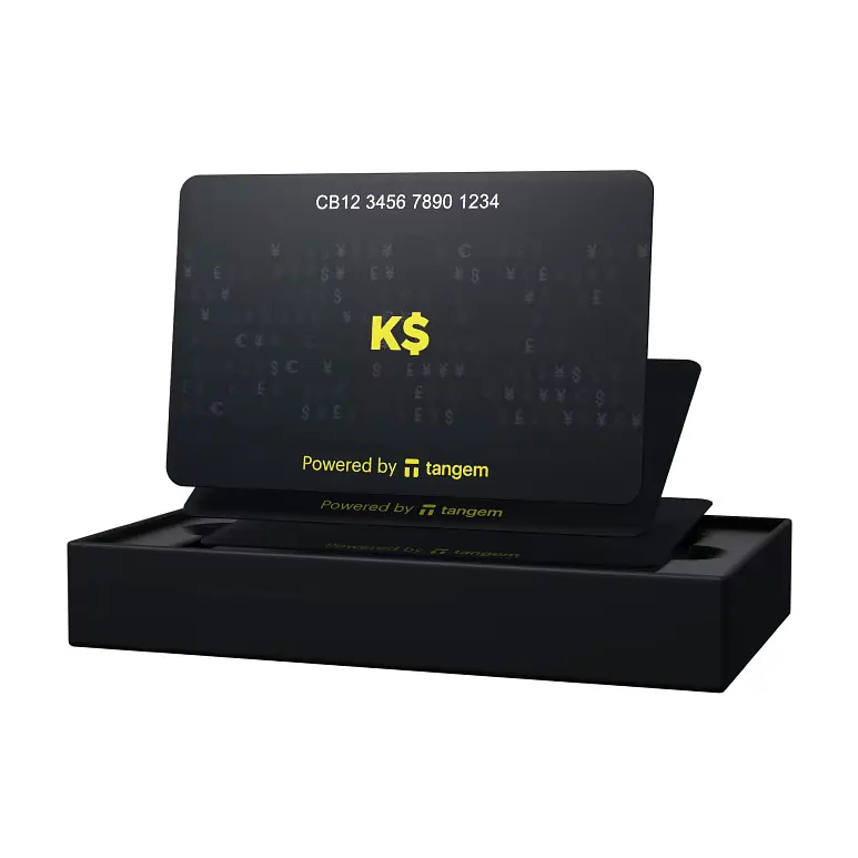Криптокошелек Tangem Wallet 2.0 Kirill Evans на 3 карты (TG128X3-KE) - фото 3