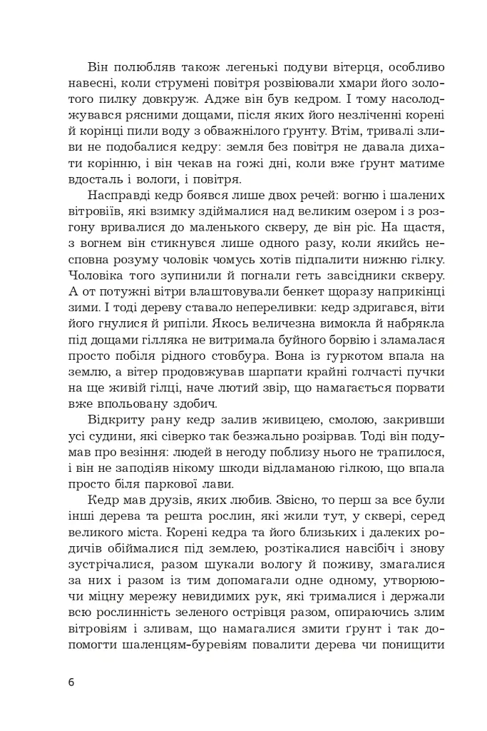 Мадам з Броварів - Олесь Ільченко - фото 4