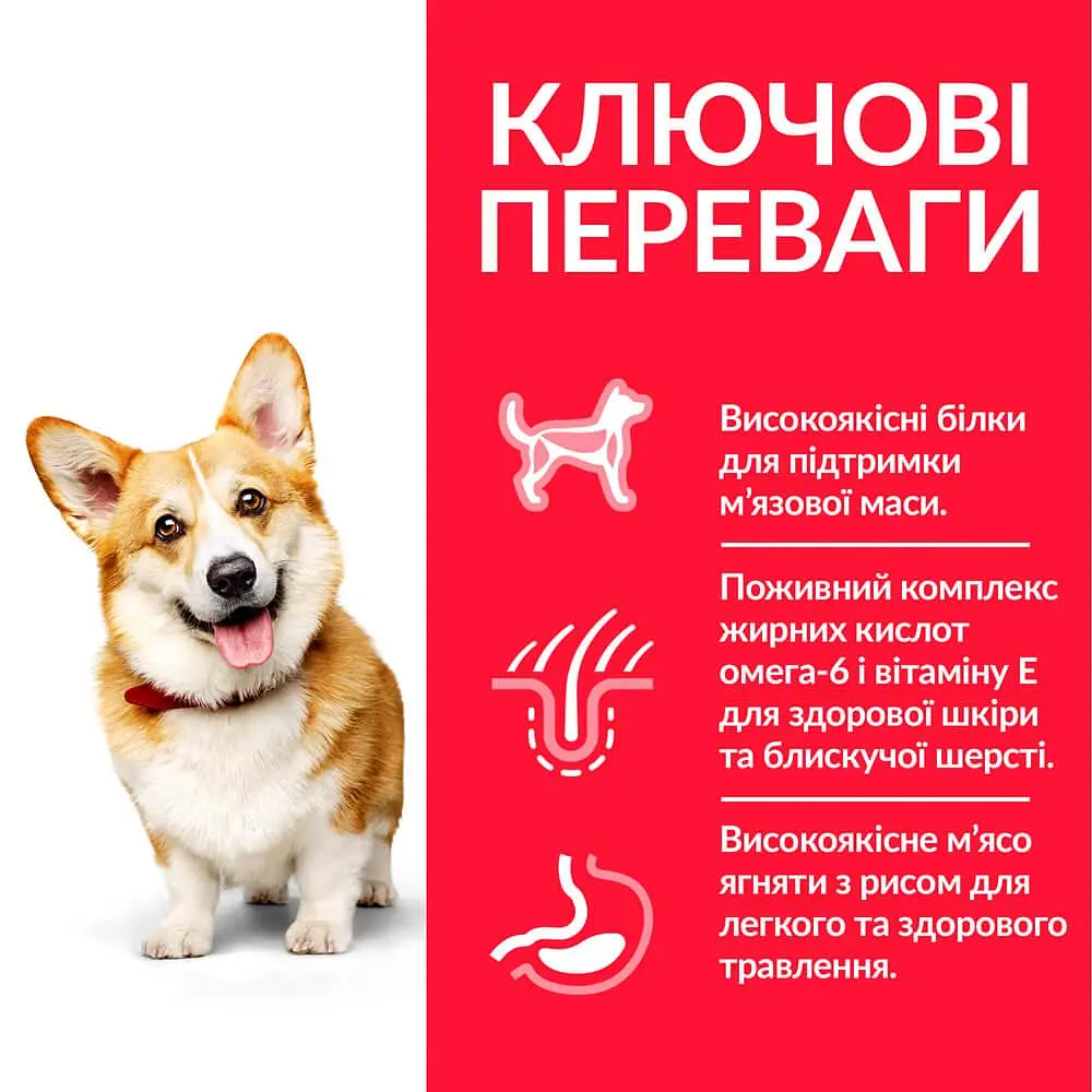Сухий корм Hill’s SP Adult Small&Mini для собак малих і мініатюрних порід з ягням і рисом 0.3 кг - фото 2