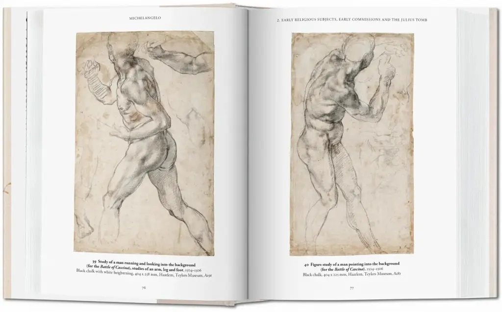Michelangelo. The Graphic Work - Томас Поппер - фото 3