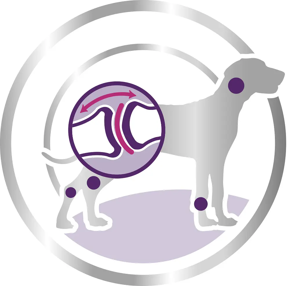 Сухой корм Royal Canin Giant Adult для взрослых собак гигантских пород, с мясом птицы и кукурузой, 15 кг - фото 3