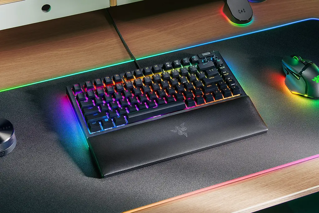 Клавіатура BlackWidow V4 75% RGB 83key Mechanical Tactile Switch GEN-3, USB-A, EN, чорний Razer teh0013910 - фото 8