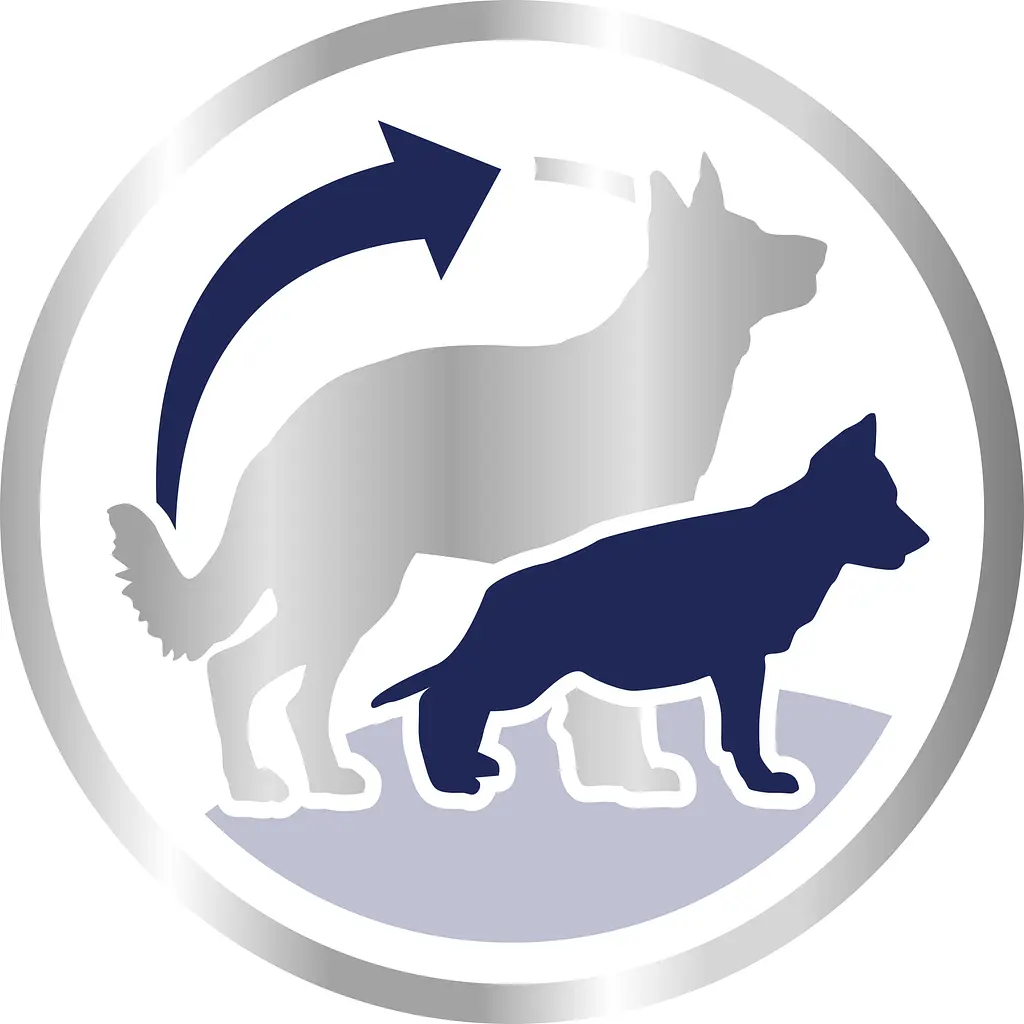 Сухий корм Royal Canin Maxi Starter Mother & Babydog для цуценят великих порід, з м'ясом птиці і рисом, 4 кг - фото 4