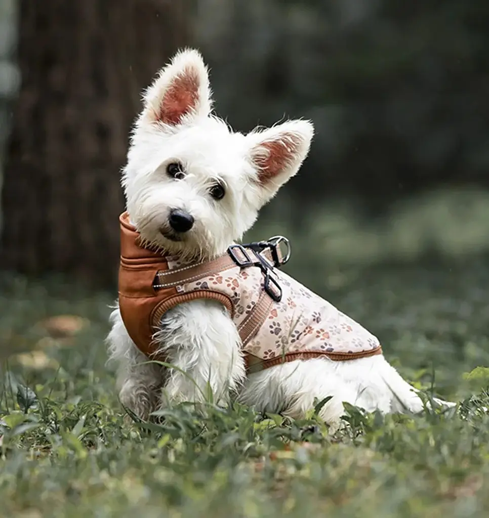 Зимова куртка для собак V.PET.B.R. Luxury Dog Jacket C519 Brown Paw - фото 8