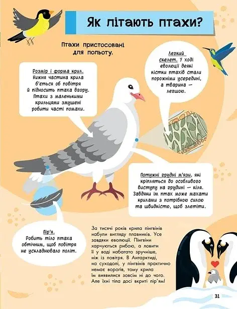 Велика енциклопедія для чомусика - фото 6